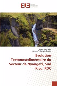 Evolution Tectonosédimentaire du Secteur de Nyangezi, Sud Kivu, RDC