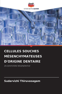 Cellules Souches Mésenchymateuses d'Origine Dentaire