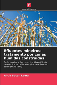 Efluentes mineiros