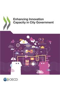 Enhancing Innovation Capacity in City Government