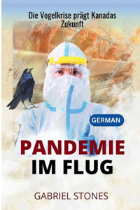Pandemie Im Flug