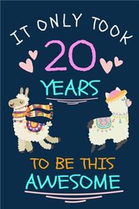 It Only Took 20 Years to be this Awesome