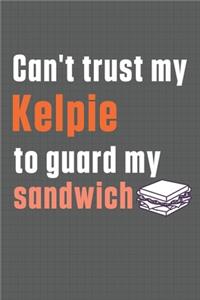 Can't trust my Kelpie to guard my sandwich