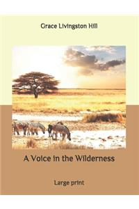 A Voice in the Wilderness