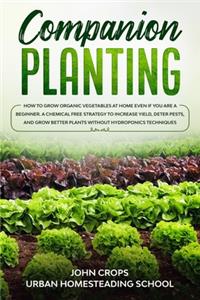 Companion Planting