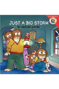 Little Critter: Just a Big Storm