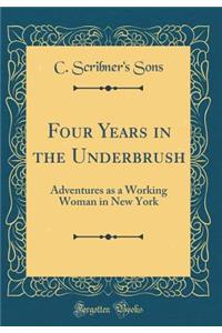 Four Years in the Underbrush: Adventures as a Working Woman in New York (Classic Reprint)