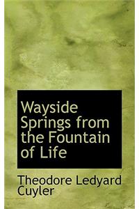 Wayside Springs from the Fountain of Life