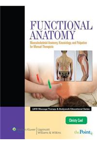 Functional Anatomy