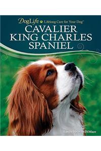 Cavalier King Charles Spaniel