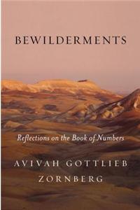 Bewilderments: Reflections on the Book of Numbers