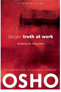 Danger: Truth at Work (Indian Edition): Accept the Unknowable