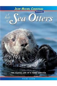 A Raft of Sea Otters