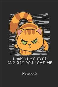 Look In My Eyes And Say You Love Me Notebook