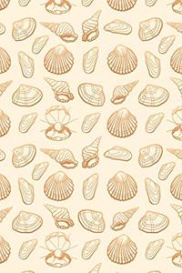 Sea Shells