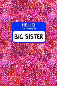 Hello My Name Is Big Sister