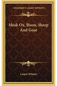 Musk Ox, Bison, Sheep and Goat