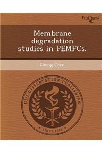 Membrane Degradation Studies in Pemfcs