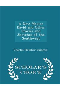 A New Mexico David and Other Stories and Sketches of the Southwest - Scholar's Choice Edition