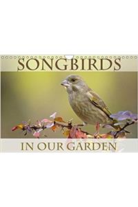 Songbirds in Our Garden 2018