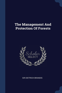 Management And Protection Of Forests