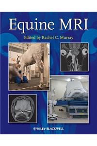 Equine MRI