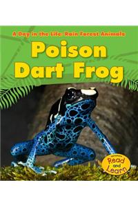 Poison Dart Frog