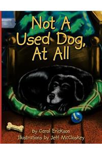 Not A Used Dog, At All