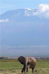 MindBlowing Elephant Journal 12