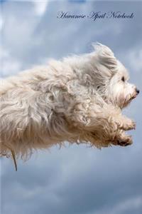 Havanese April Notebook Havanese Record, Log, Diary, Special Memories, To Do List, Academic Notepad, Scrapbook & More