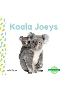 Koala Joeys