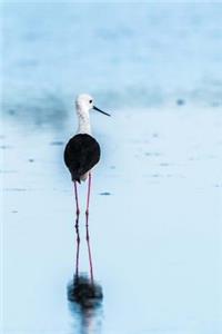 The Avocet Bird Journal