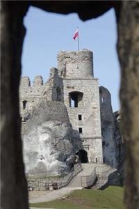 Ruins of the Medieval Ogrodzieniec Castle in Poland Journal