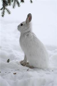 An Adorable Snowshoe Hare Lepus americanus in Winter Journal: 150 Page Lined Notebook/Diary