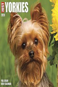 Just Yorkies 2020 Box Calendar (Dog Breed Calendar)