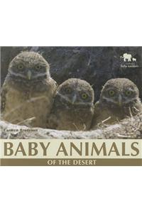 Baby Animals of the Desert