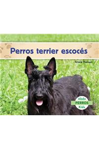 Perros Terrier Escoces (Scottish Terriers)