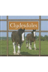 Clydesdales