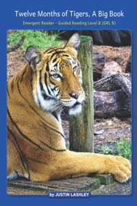 Twelve Months of Tigers, A Big Book