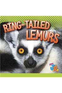 Ring-Tailed Lemurs