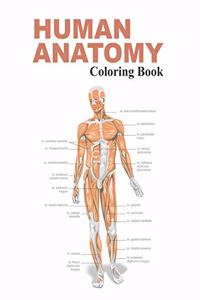 Human Anatomy Coloring Book