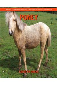 Poney