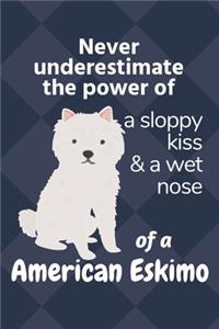 Never underestimate the power of a sloppy kiss & a wet nose of a American Eskimo
