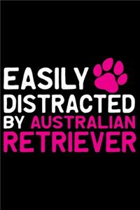 Easily Distracted by Australian Retriever