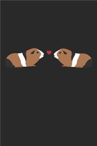 Meerschweinchen-Liebe