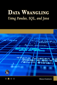 Data Wrangling Using Pandas, Sql, and Java