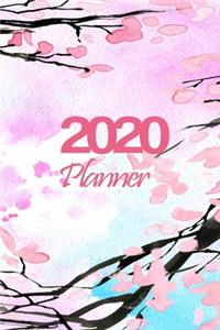 2020