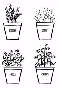 A Bunch of Fresh Herbs Notebook