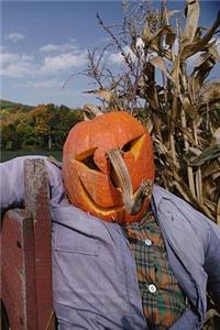 2019 Weekly Planner Farm Scarecrow Pumpkin Head 134 Pages