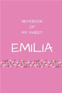 Notebook of my sweet Emilia